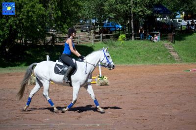 Horses-98.jpg