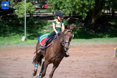 Horses-99.jpg