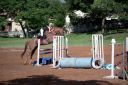 Horses-38.jpg
