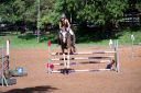 Horses-39.jpg