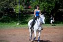 Horses-4.jpg