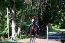 Horses-40.jpg