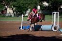 Horses-41.jpg
