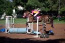 Horses-42.jpg