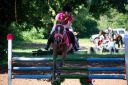 Horses-43.jpg