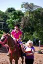 Horses-45.jpg