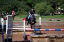 Horses-48.jpg