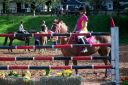 Horses-5.jpg