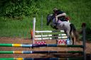 Horses-52.jpg