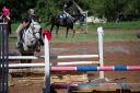 Horses-53.jpg