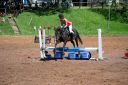Horses-74.jpg