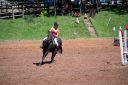 Horses-75.jpg