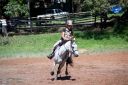 Horses-77.jpg