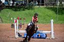 Horses-79.jpg