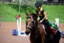 Horses-94.jpg