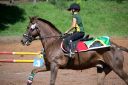 Horses-95.jpg
