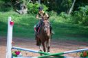 Horses-96.jpg