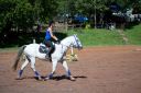 Horses-98.jpg